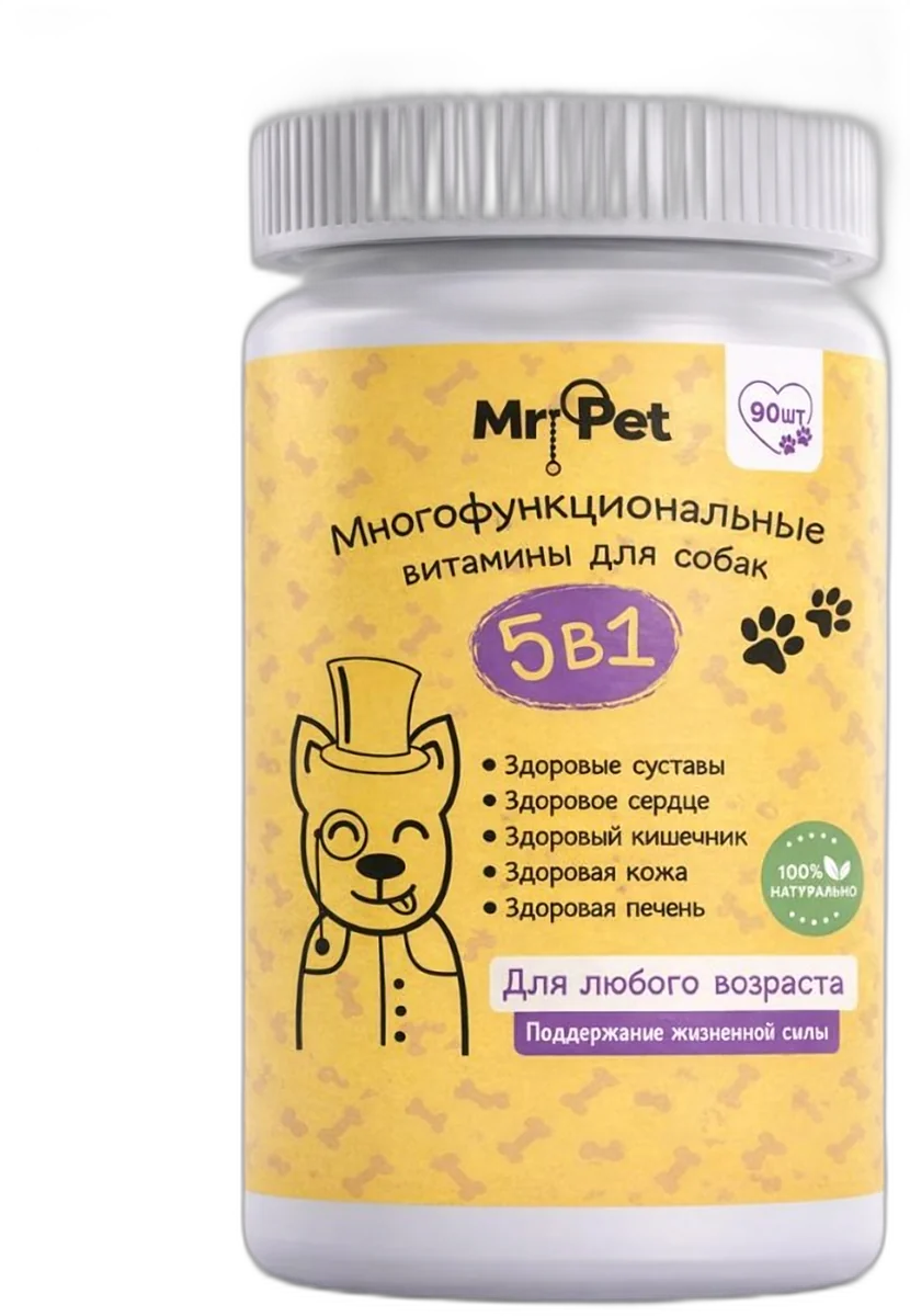 Почему собака ест траву: причины и когда идти к ветеринару